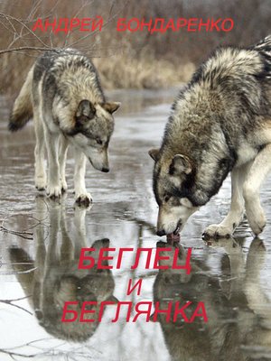 cover image of Беглец и Беглянка